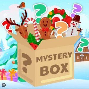 Christmas Mystery Box